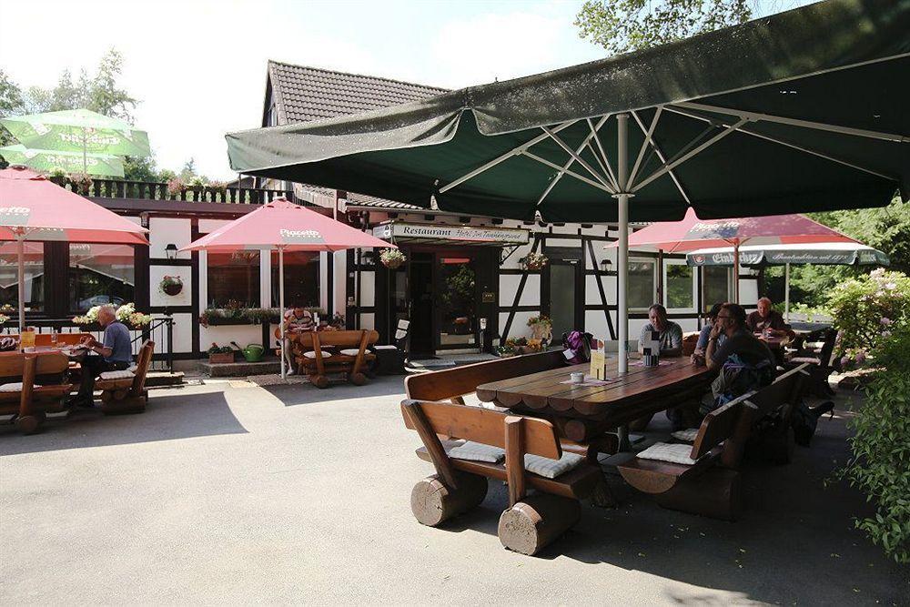 Hotel Im Tannengrund Langelsheim Ngoại thất bức ảnh